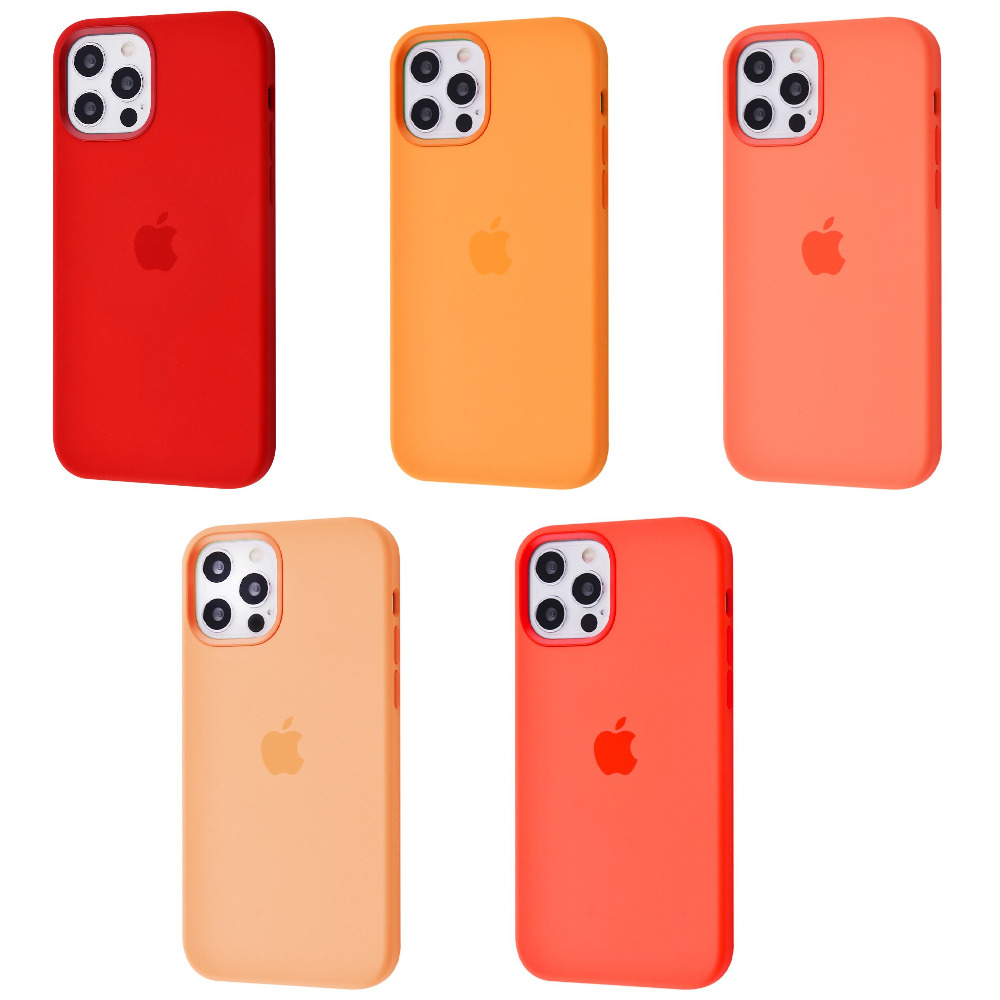 Чехол Silicone Case with MagSafe iPhone 12/12 Pro