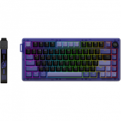 purple/black