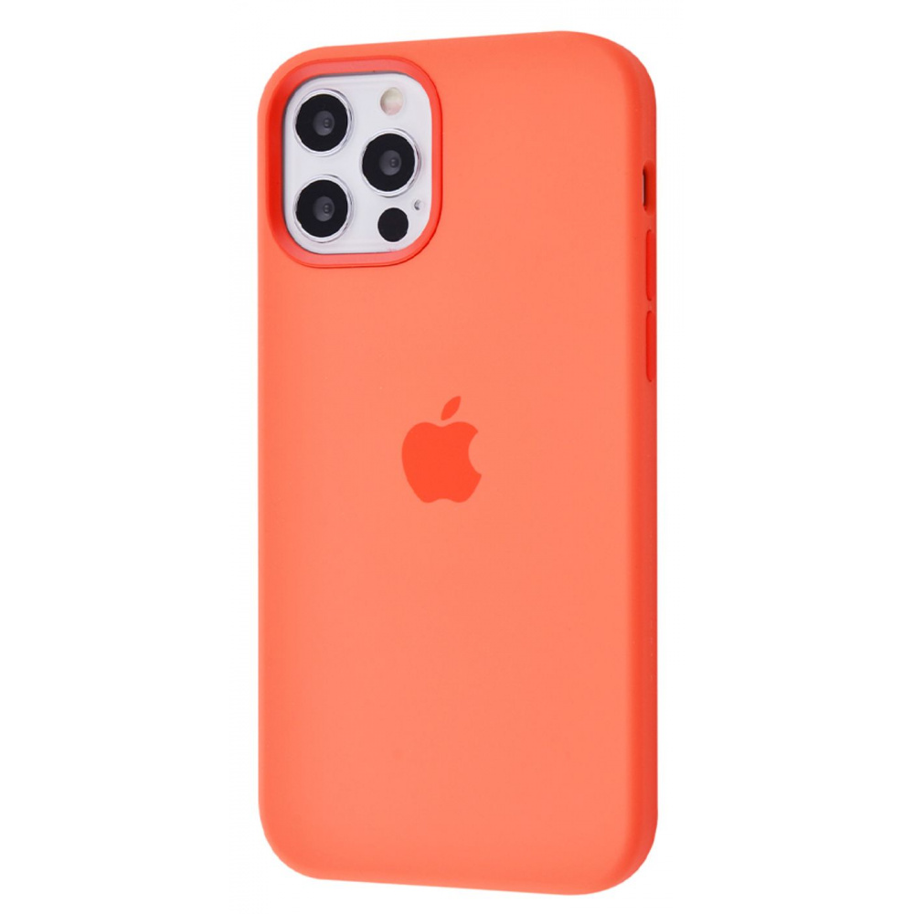 Чехол Silicone Case with MagSafe and Splash Screen iPhone 12 Pro Max - фото 11