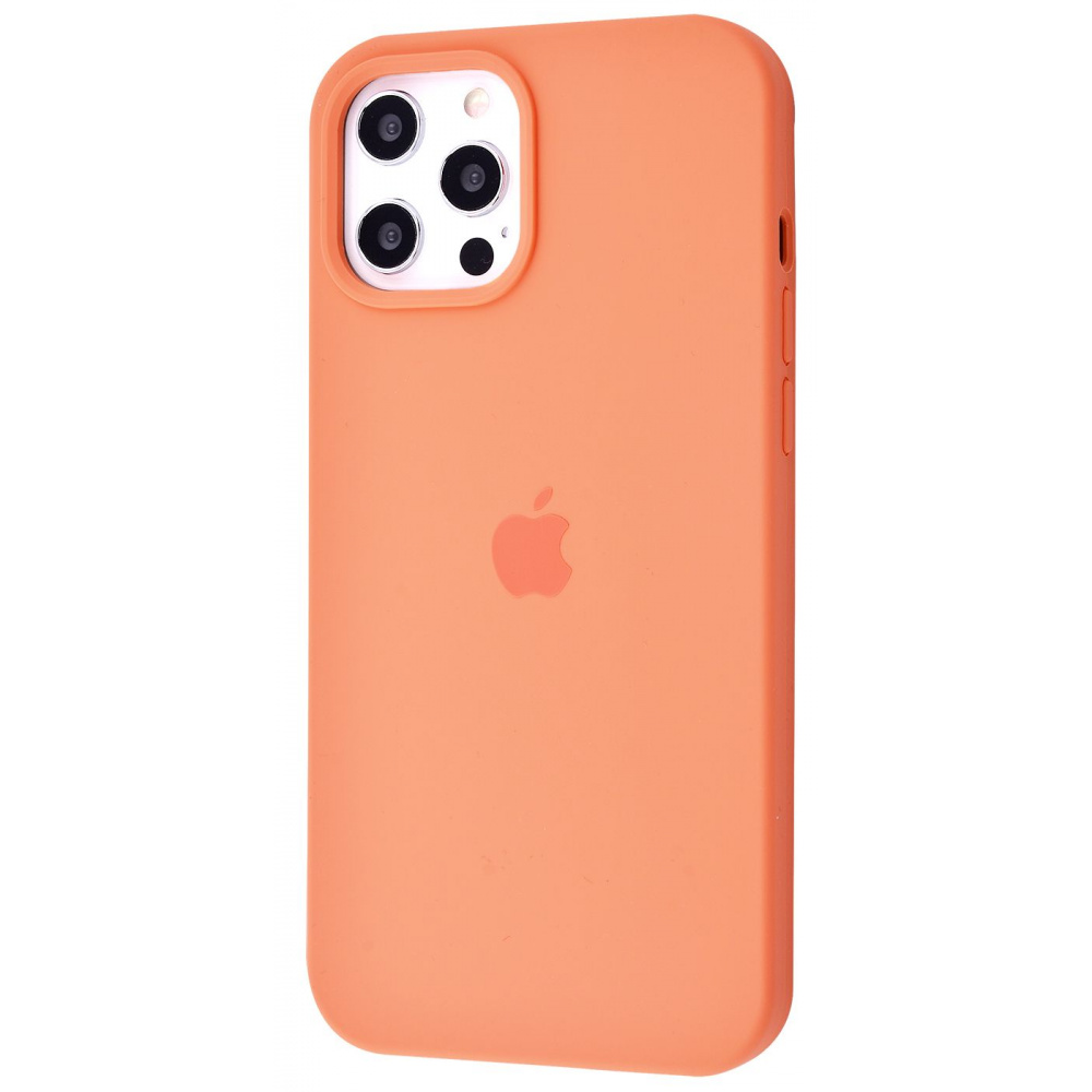 Чехол Silicone Case Full Cover iPhone 12 Pro Max - фото 28
