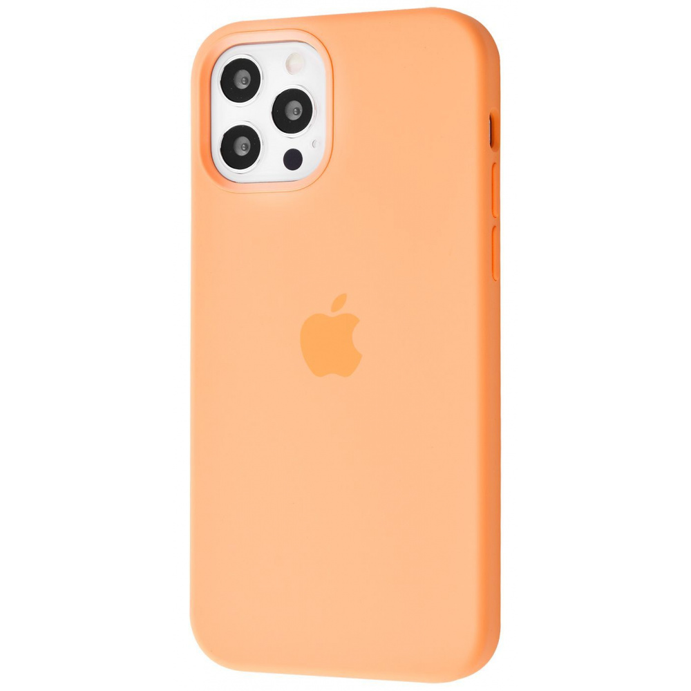 Чехол Silicone Case iPhone 12 Pro Max - фото 18