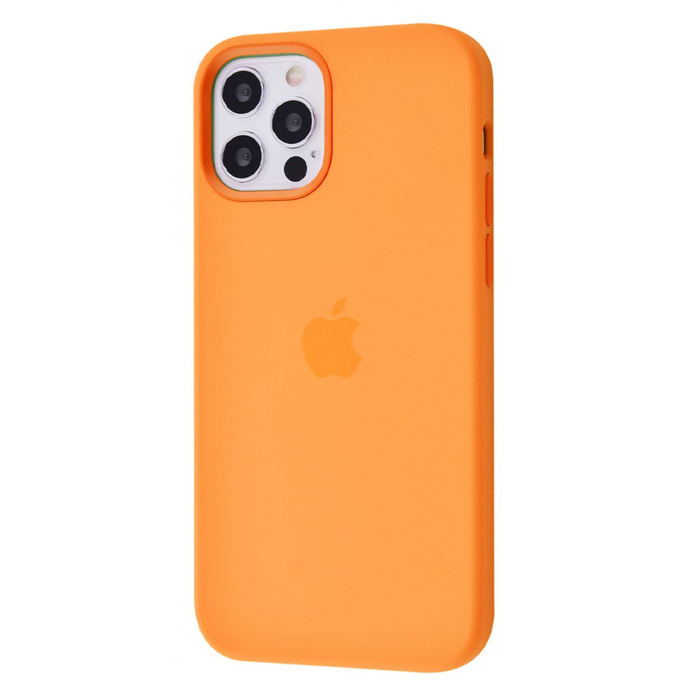 Чехол Silicone Case with MagSafe iPhone 12 Pro Max - фото 11