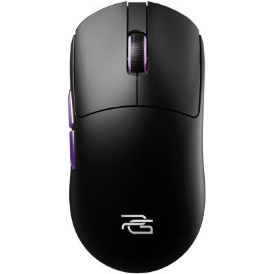black/purple