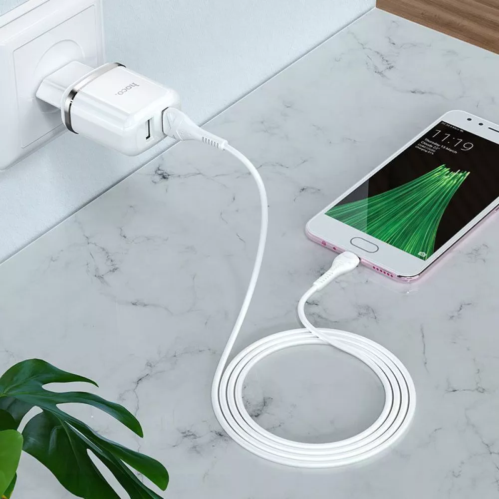 СЗУ Hoco N4 Aspiring + Cable (Type-C) 2.4A 2USB - фото 3