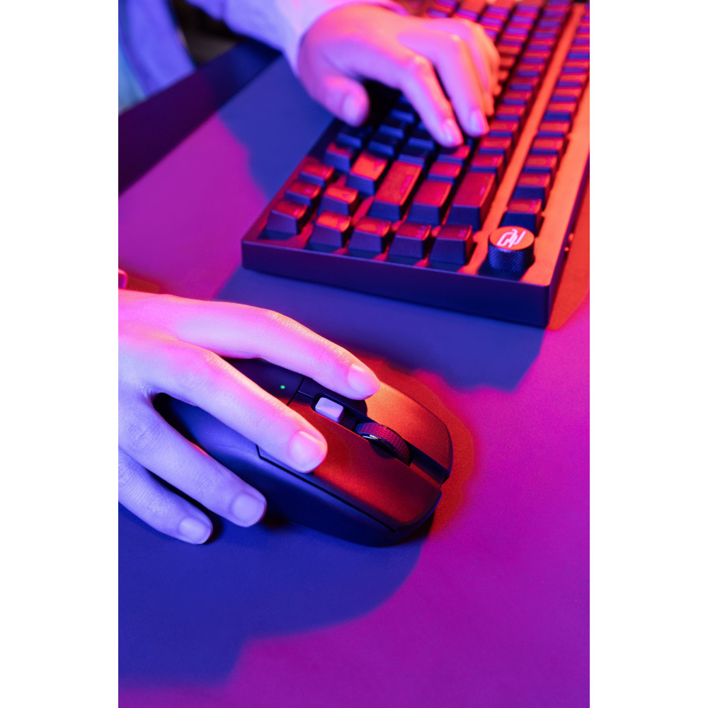 Wireless Mouse Proove Gaming Everon - фото 24