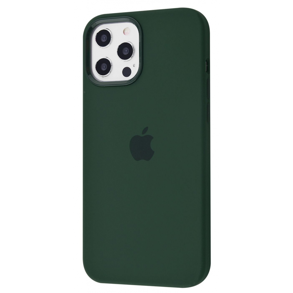 Чехол Silicone Case iPhone 12 Pro Max - фото 10