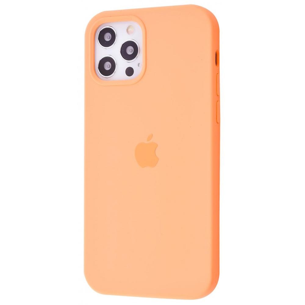 Чехол Silicone Case Full Cover iPhone 12 Pro Max - фото 16