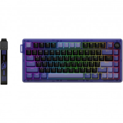 purple/black