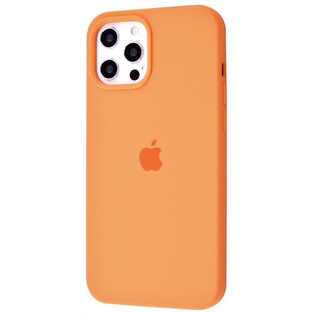 Чехол Silicone Case Full Cover iPhone 12 Pro Max - фото 20